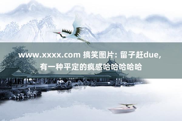 www.xxxx.com 搞笑图片: 留子赶due, 有一种平定的疯感哈哈哈哈哈