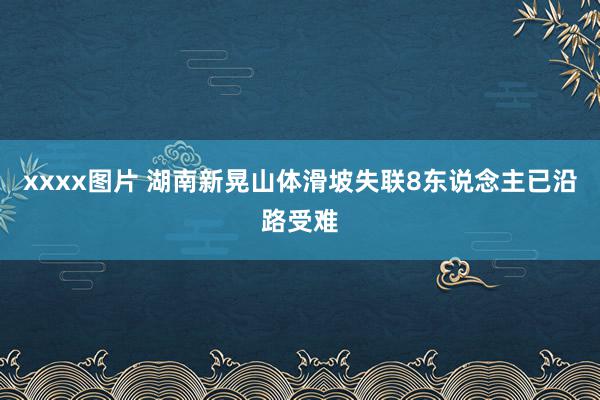 xxxx图片 湖南新晃山体滑坡失联8东说念主已沿路受难