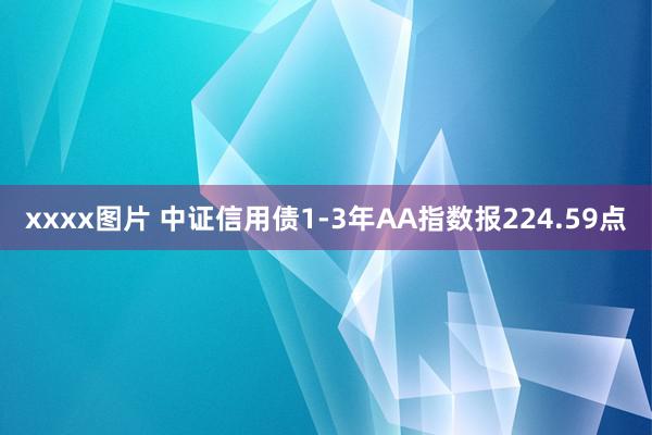 xxxx图片 中证信用债1-3年AA指数报224.59点