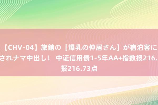 【CHV-04】旅館の［爆乳の仲居さん］が宿泊客に輪姦されナマ中出し！ 中证信用债1-5年AA+指数报216.73点