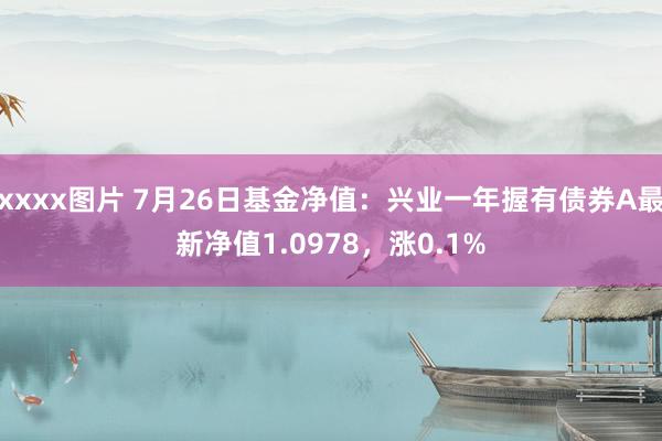 xxxx图片 7月26日基金净值：兴业一年握有债券A最新净值1.0978，涨0.1%