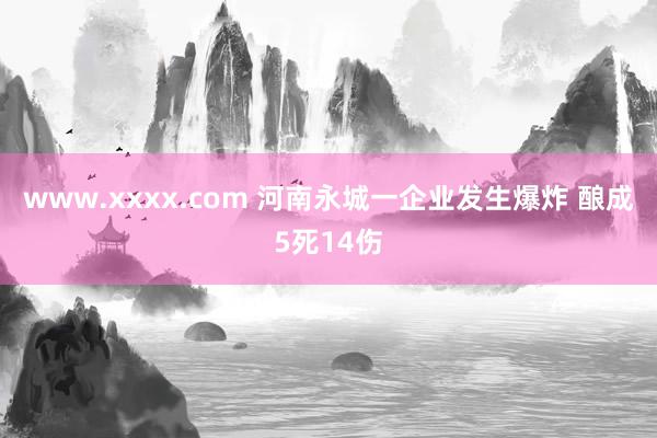 www.xxxx.com 河南永城一企业发生爆炸 酿成5死14伤