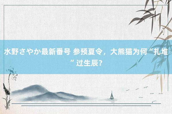 水野さやか最新番号 参预夏令，大熊猫为何“扎堆”过生辰？