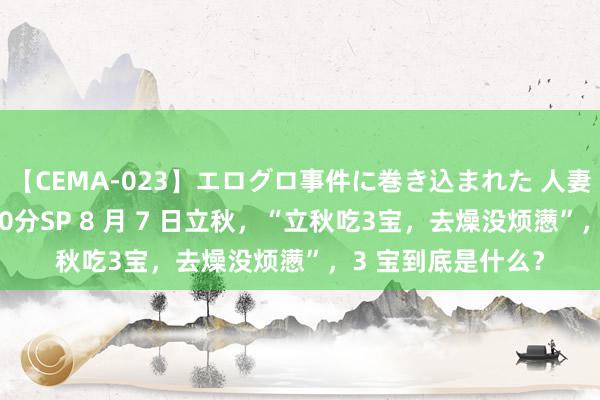 【CEMA-023】エログロ事件に巻き込まれた 人妻たちの昭和史 210分SP 8 月 7 日立秋，“立秋吃3宝，去燥没烦懑”，3 宝到底是什么？