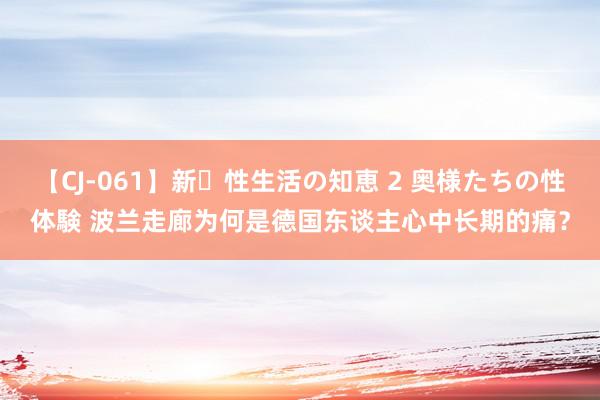 【CJ-061】新・性生活の知恵 2 奥様たちの性体験 波兰走廊为何是德国东谈主心中长期的痛？