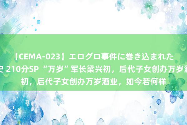 【CEMA-023】エログロ事件に巻き込まれた 人妻たちの昭和史 210分SP “万岁”军长梁兴初，后代子女创办万岁酒业，如今若何样