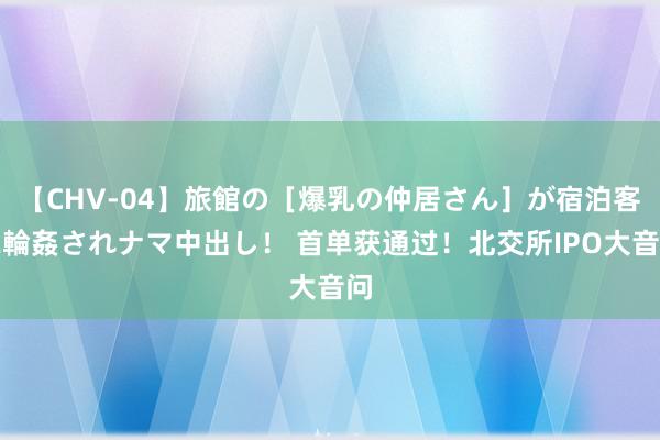 【CHV-04】旅館の［爆乳の仲居さん］が宿泊客に輪姦されナマ中出し！ 首单获通过！北交所IPO大音问