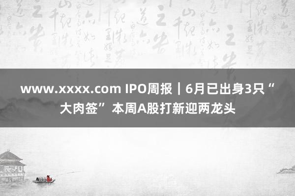 www.xxxx.com IPO周报｜6月已出身3只“大肉签” 本周A股打新迎两龙头