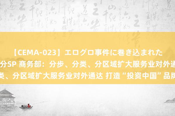 【CEMA-023】エログロ事件に巻き込まれた 人妻たちの昭和史 210分SP 商务部：分步、分类、分区域扩大服务业对外通达 打造“投资中国”品牌