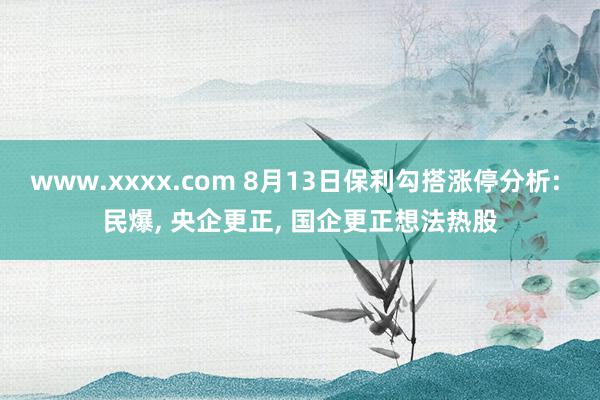 www.xxxx.com 8月13日保利勾搭涨停分析: 民爆, 央企更正, 国企更正想法热股