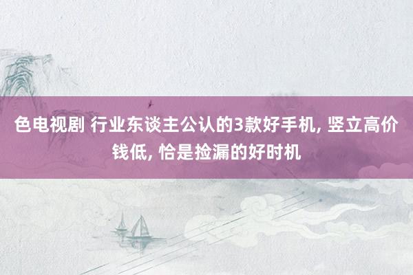 色电视剧 行业东谈主公认的3款好手机, 竖立高价钱低, 恰是捡漏的好时机