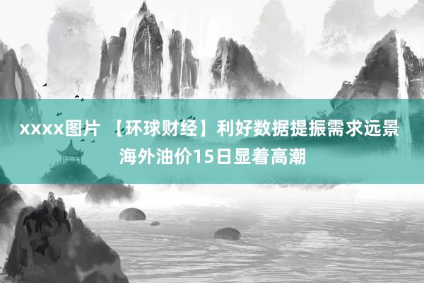 xxxx图片 【环球财经】利好数据提振需求远景 海外油价15日显着高潮