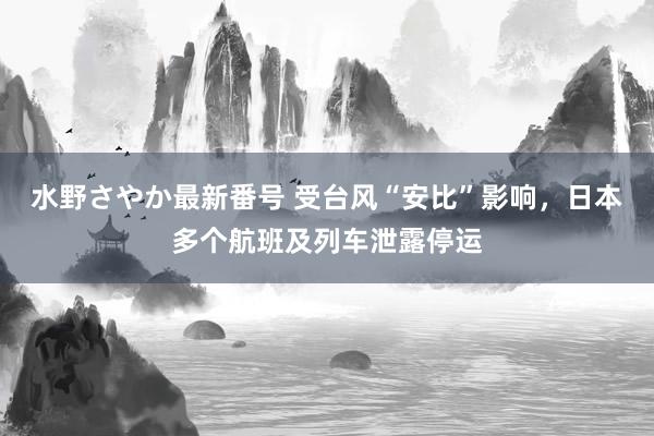 水野さやか最新番号 受台风“安比”影响，日本多个航班及列车泄露停运