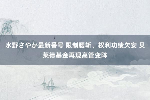 水野さやか最新番号 限制腰斩、权利功绩欠安 贝莱德基金再现高管变阵