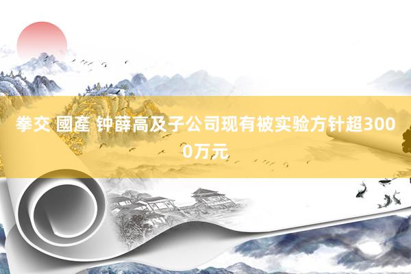 拳交 國產 钟薛高及子公司现有被实验方针超3000万元