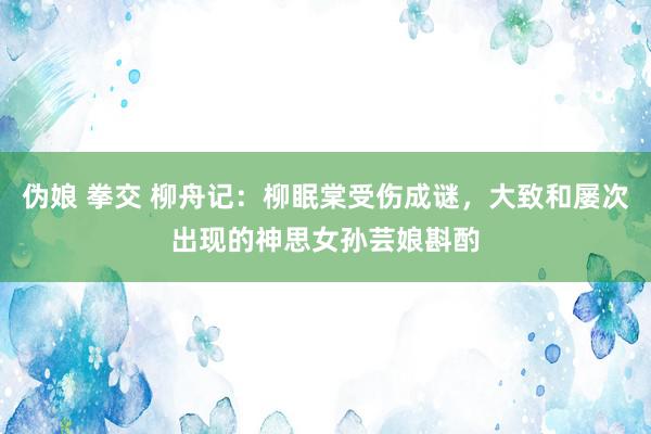 伪娘 拳交 柳舟记：柳眠棠受伤成谜，大致和屡次出现的神思女孙芸娘斟酌