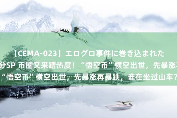 【CEMA-023】エログロ事件に巻き込まれた 人妻たちの昭和史 210分SP 币圈又来蹭热度！“悟空币”横空出世，先暴涨再暴跌，谁在坐过山车？