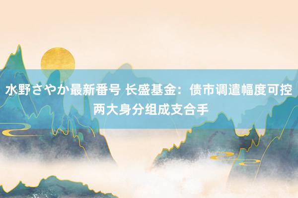 水野さやか最新番号 长盛基金：债市调遣幅度可控 两大身分组成支合手