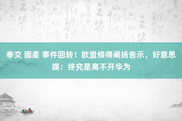 拳交 國產 事件回转！欧盟倏得阐扬告示，好意思媒：终究是离不开华为