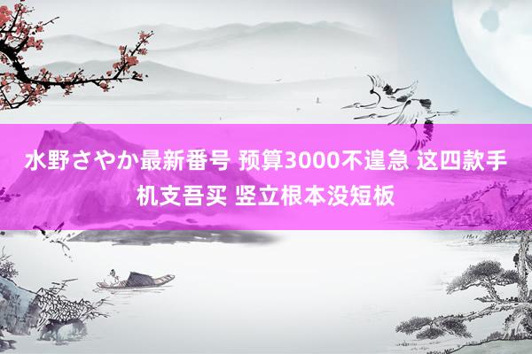 水野さやか最新番号 预算3000不遑急 这四款手机支吾买 竖立根本没短板