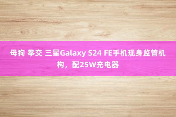 母狗 拳交 三星Galaxy S24 FE手机现身监管机构，配25W充电器